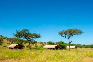 Kati Kati Tented Camp Tents