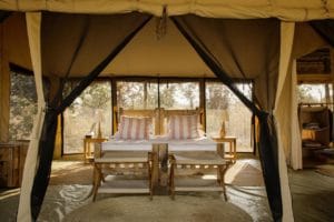 Kigelia Ruaha Room