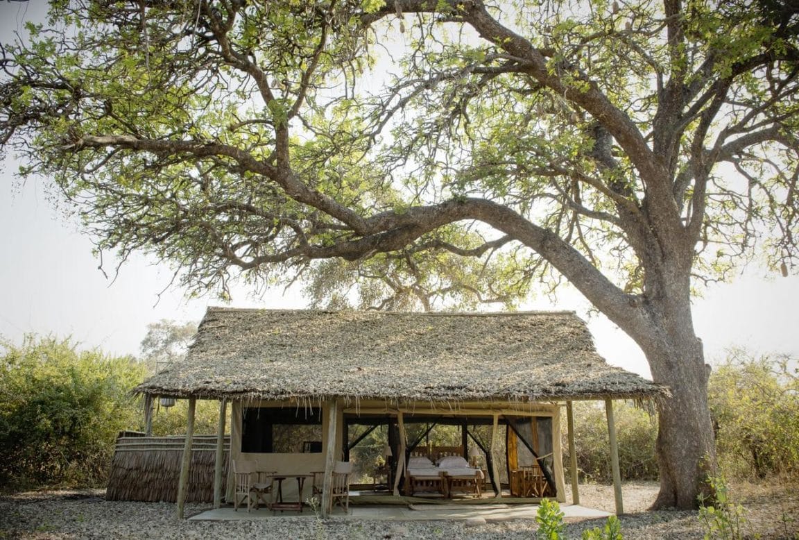 Kigelia Ruaha Tent