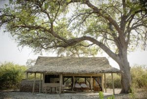 Kigelia Ruaha Tent