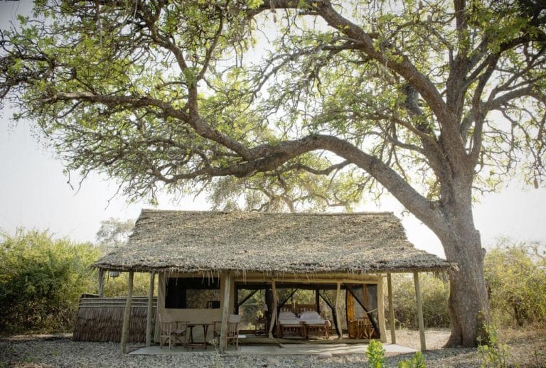 Kigelia Ruaha Tent