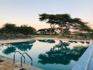 Lake Masek Tented Lodge Poolarea
