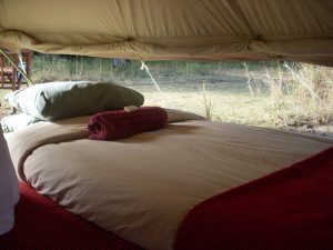 Maasai Trails Tent