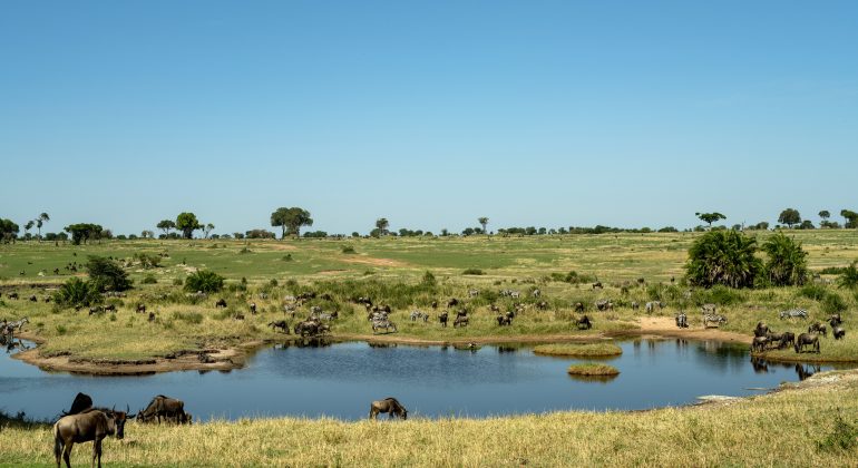 Mara Kati Kati Tented Camp Waterhole
