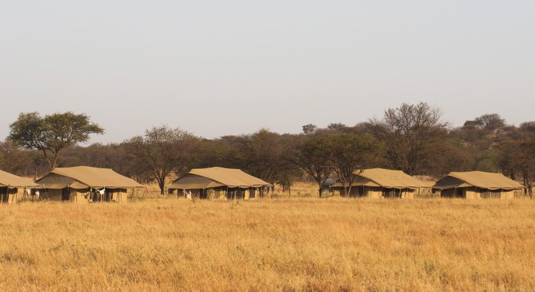 Mara Under Canvas Camp Layout