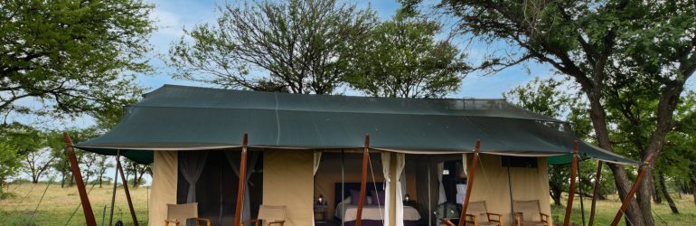 Mara Under Canvas Tent