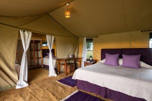 Mara Under Canvas Tent Interior