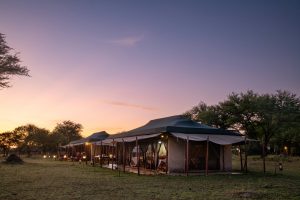 Mara Under Canvas Tents