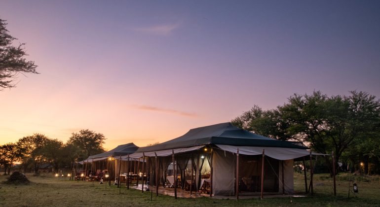 Mara Under Canvas Tents