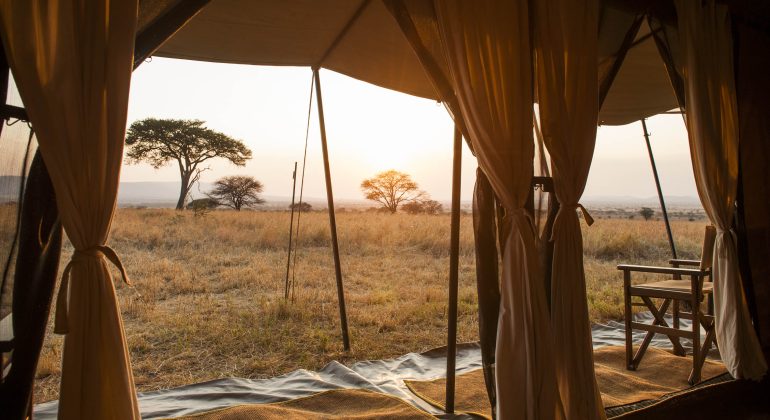 Mara Under Canvas View From Tent