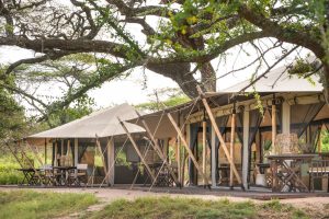 Mila Tented Camp Tent