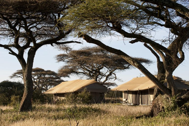 Ndutu Under Canvas Tents