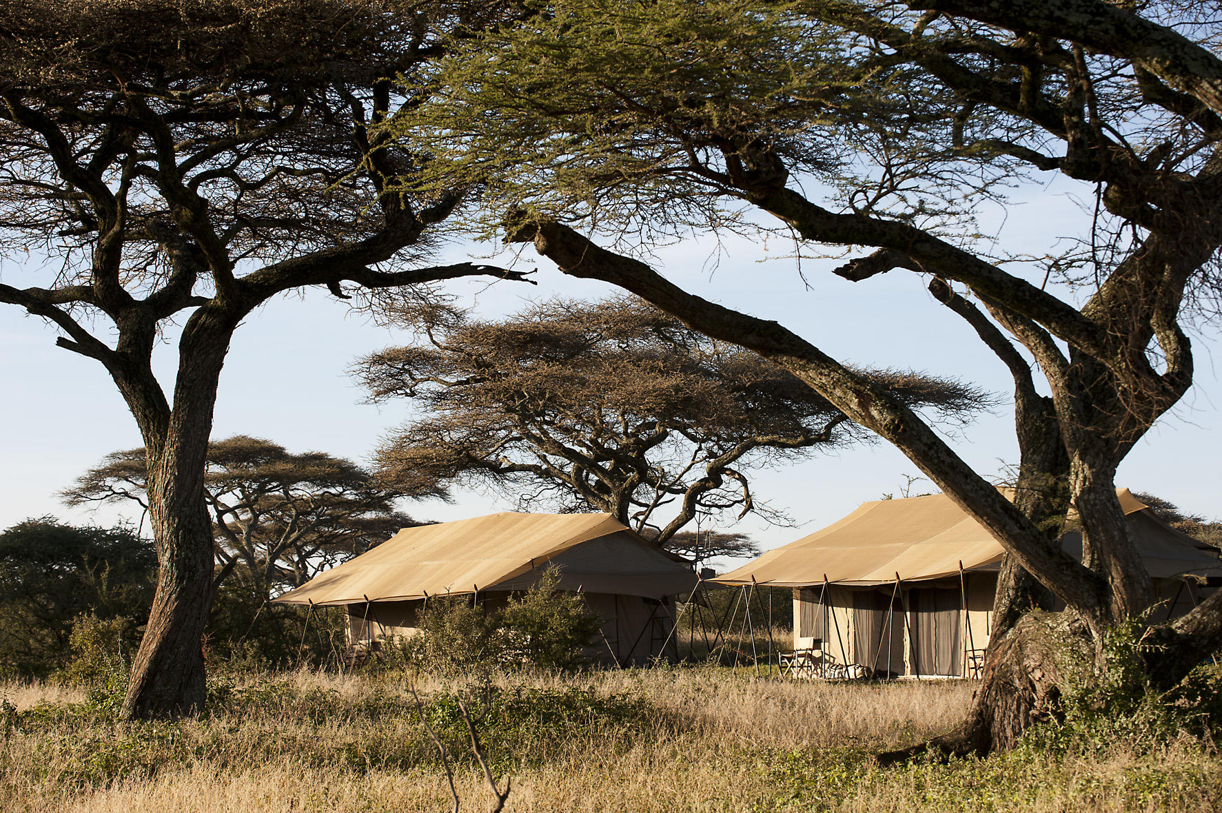 Ndutu Under Canvas, Serengeti National Park, Tanzania