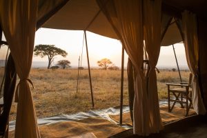 Ndutu Under Canvas View From Tent