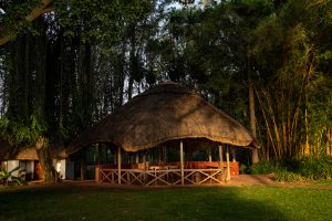 Ngorongoro Farm House Outdoors