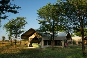 Serengeti Kati Kati Tent View