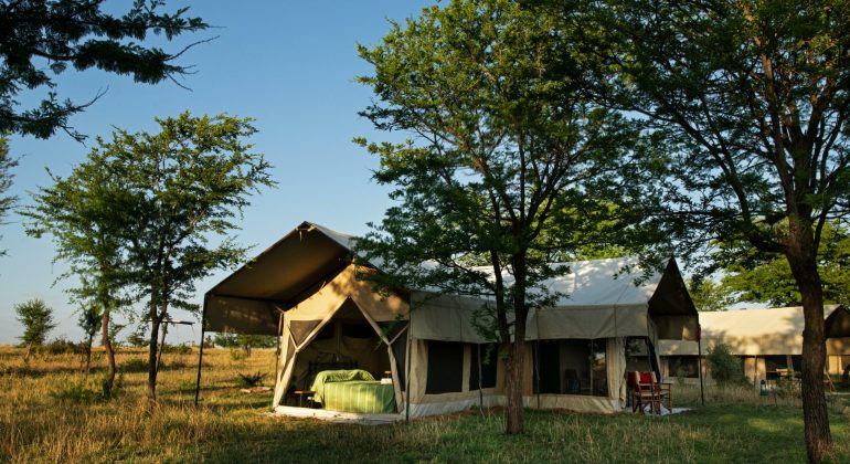 Serengeti Kati Kati Tent View