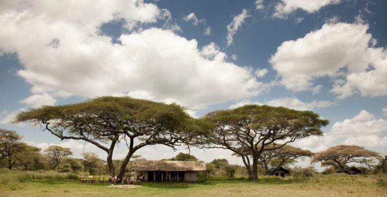 Serengeti Mobile Kusini View