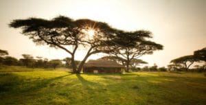 Serengeti Mobile Kusini View