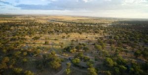 Serengeti Mobile Lamai Aerial View