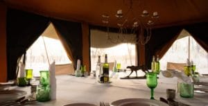 Serengeti Mobile Lamai Dining