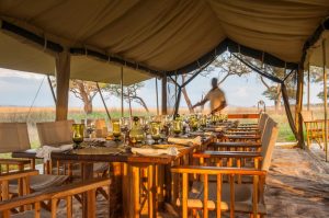 Serengeti Safari Camp Dining