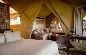 Serengeti Safari Camp Family Tent