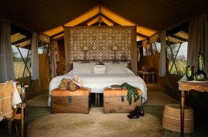 Serengeti Safari Camp Tent