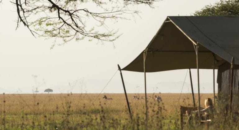 Serengeti Safari Camp Tent