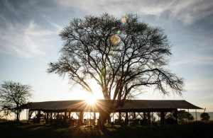 Serengeti Safari Camp Tent View