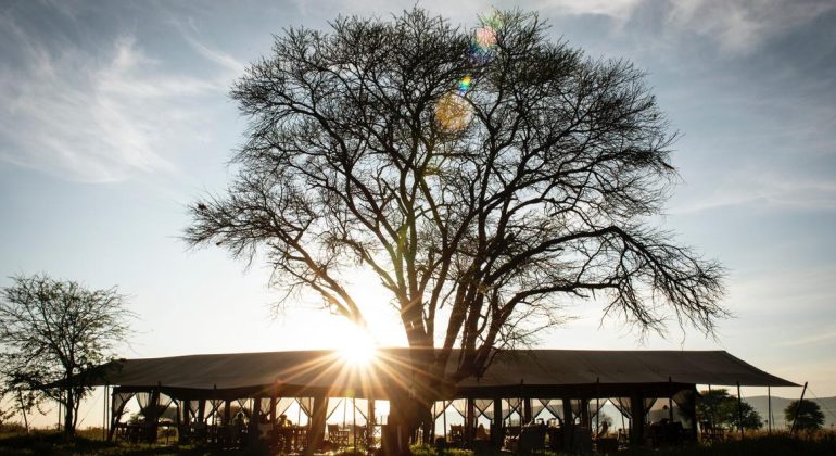 Serengeti Safari Camp Tent View