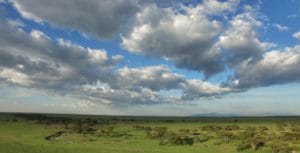 Serengeti South Aerial View