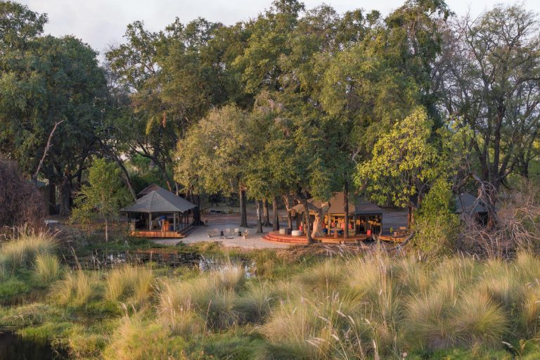 Shinde Footsteps View