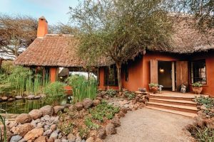 Tawi Lodge Entrance