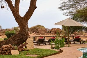 Tawi Lodge Waterhole