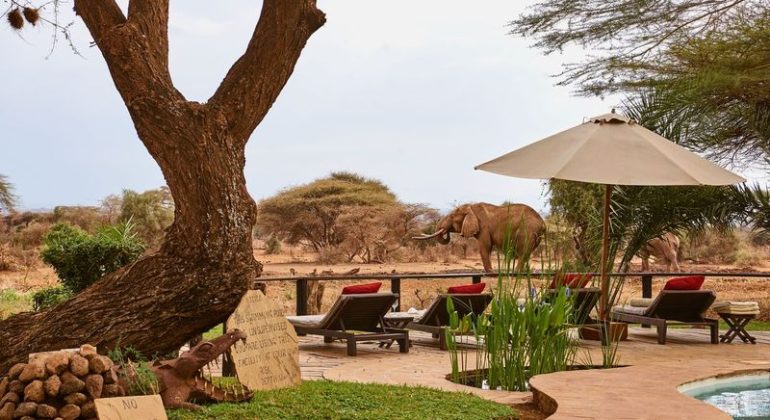 Tawi Lodge Waterhole