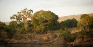 The Nest View