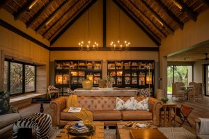 Thornybush Game Lodge Lodge Library