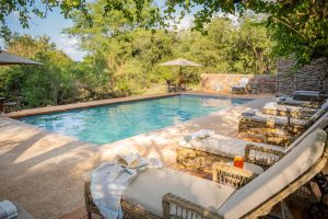 Thornybush Game Lodge Poolside