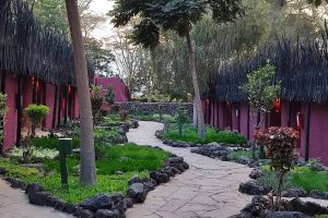 Amboseli Serena Safari Lodge Room Exterior