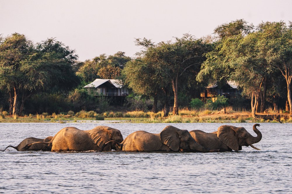 Anabezi Luxury Camp View