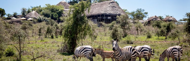 Apoka Safari Lodge View