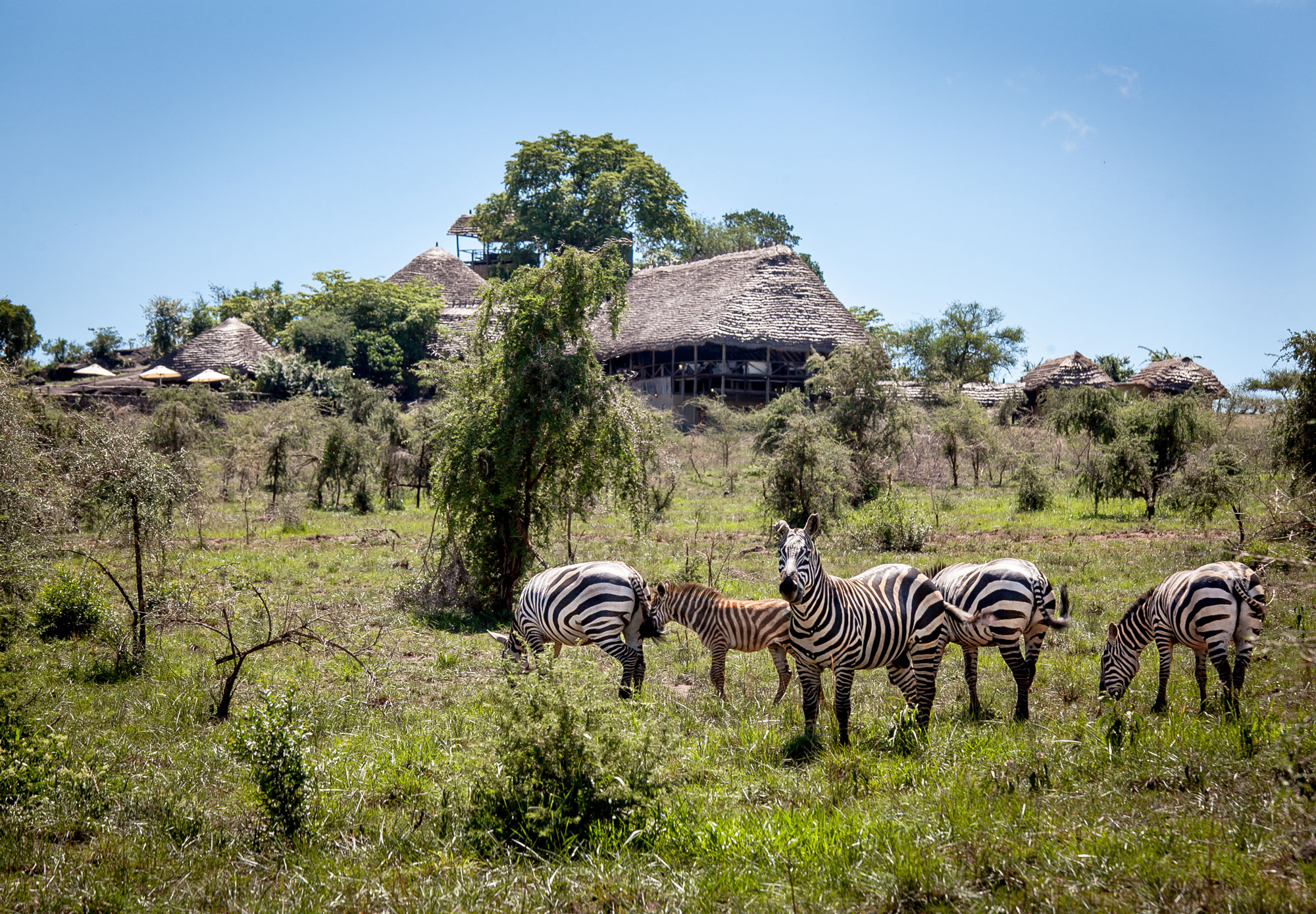 Apoka Safari Lodge View