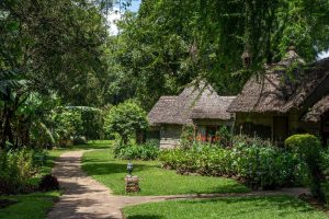 Arusha Serena Hotel Exteriors