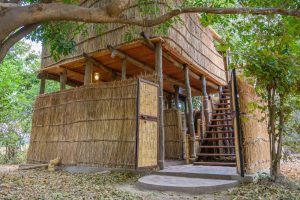 Chikoko Tree Camp Chalet Entrance
