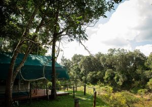Governors' Private Camp Tent View