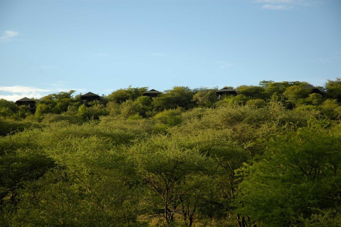 Kirawira Serena Camp View