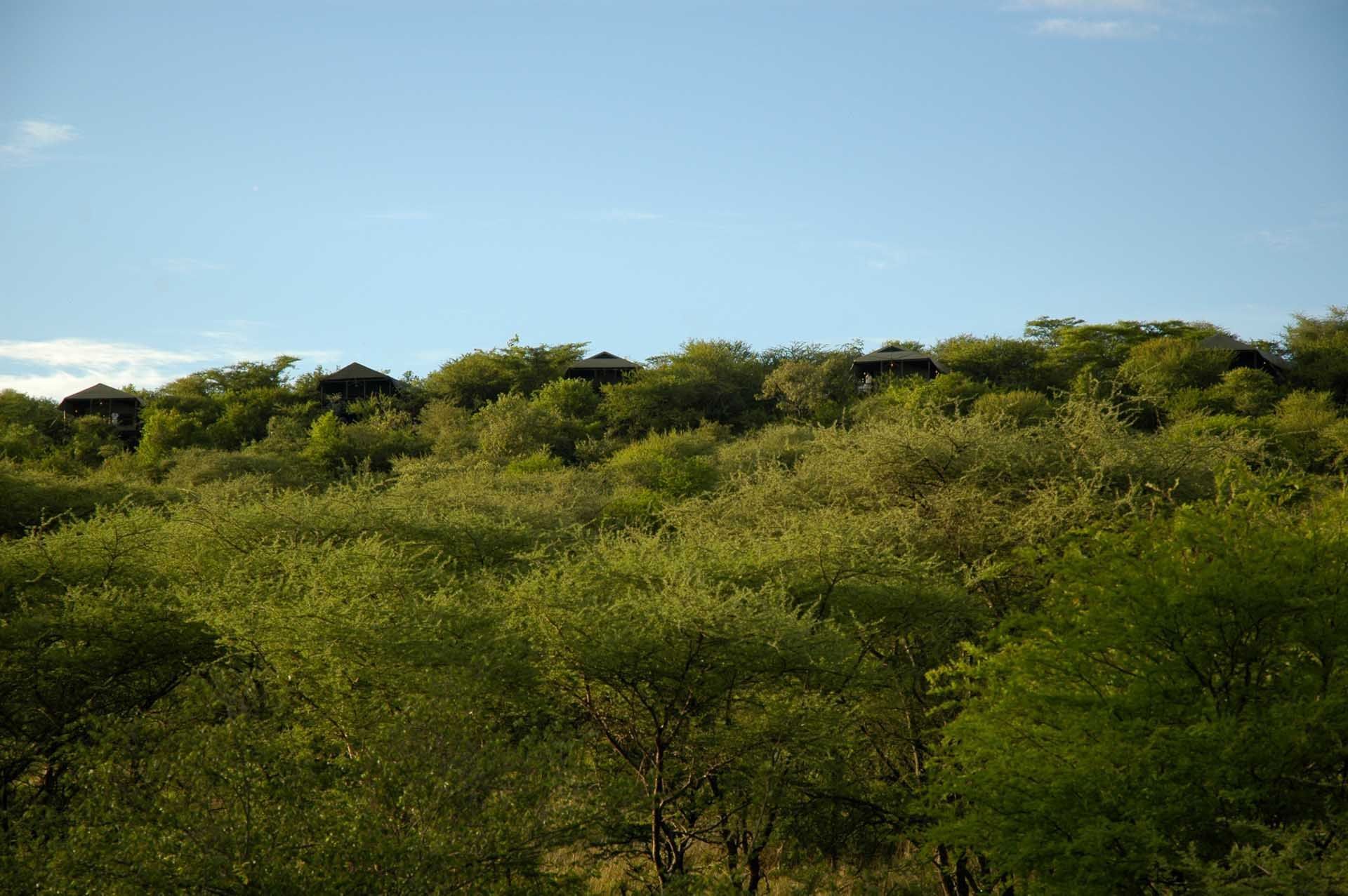Kirawira Serena Camp, Serengeti National Park, Tanzania