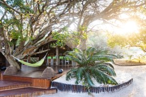 Kosi Forest Lodge Outdoors
