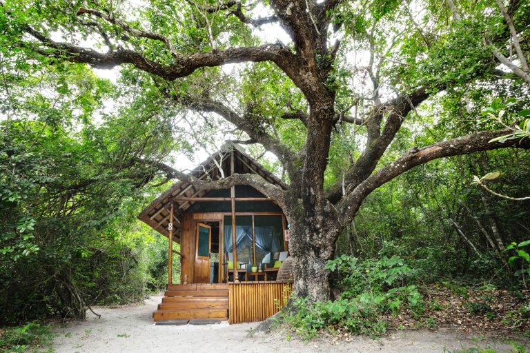 Kosi Forest Lodge View
